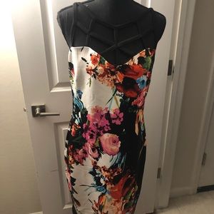 Dresses size Large